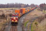 CP 8751